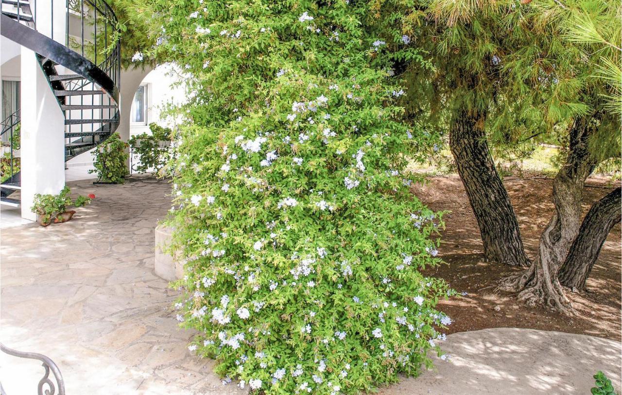 Soleiliosonne Haus Zeus Daire Ermioni Dış mekan fotoğraf